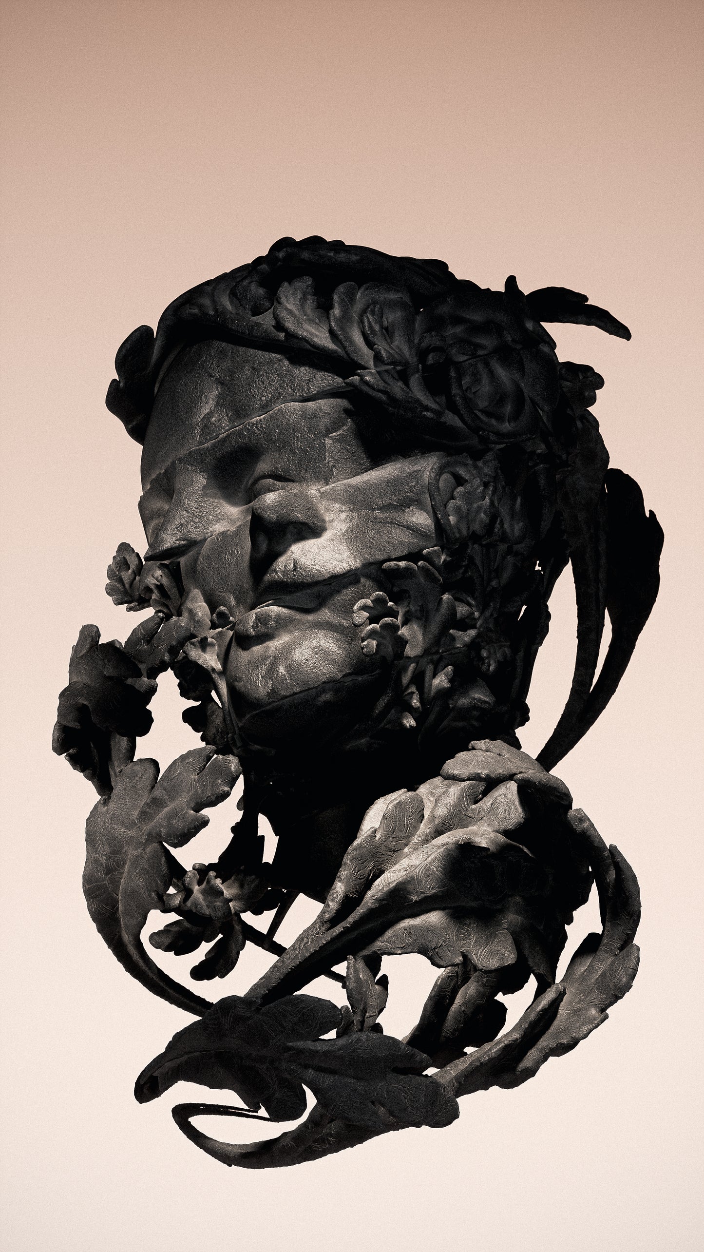 Stephan Duq - In Focus
